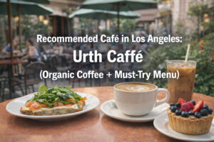 Tesla FSD　Road Trip Review San Francisco to Yosemite (196 Miles)